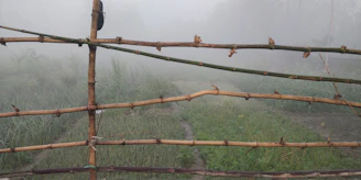 A peaceful outdoor scene with bamboo groves and mist rolling over distant mountains.
