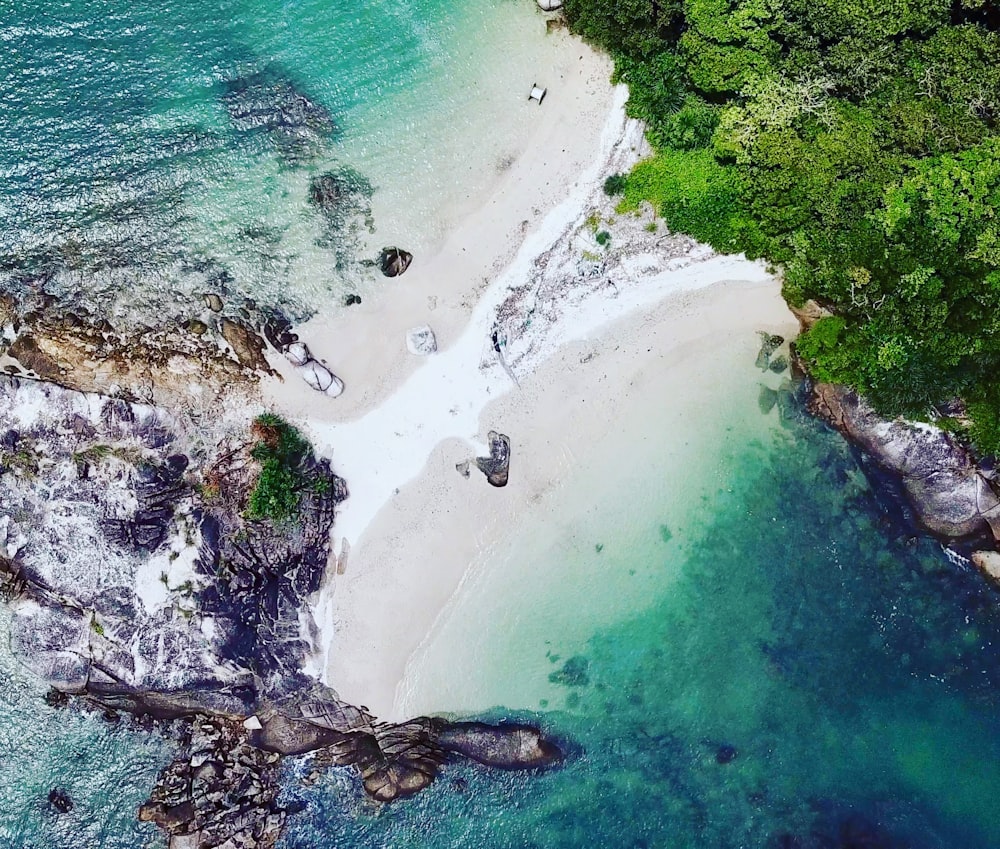 sandbar between ocean and rock formation and trees