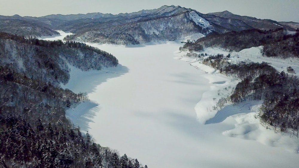 land covered in snow