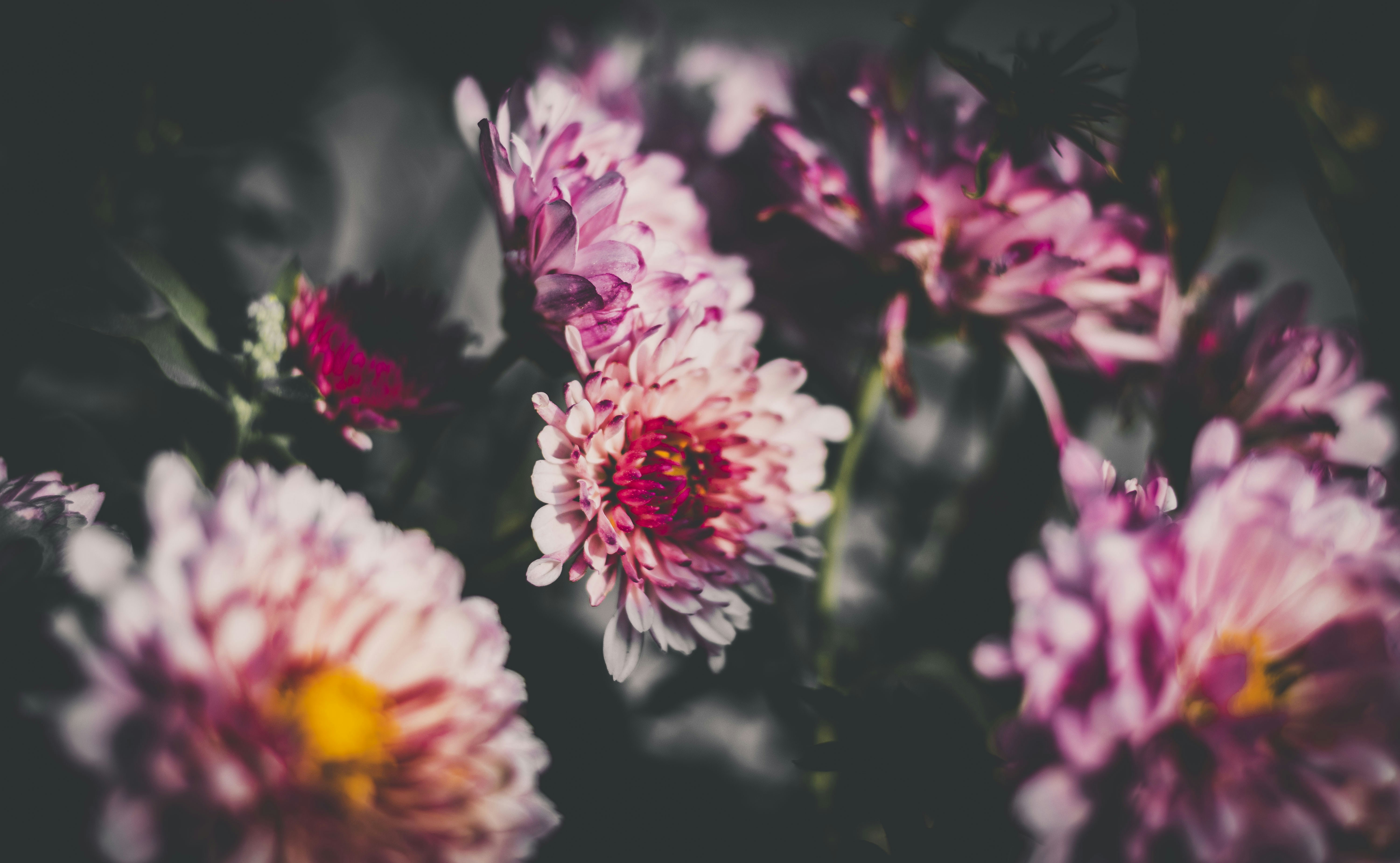 Photo by devasangbam