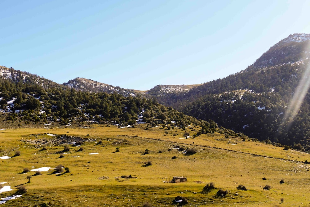 green grass field near mountain