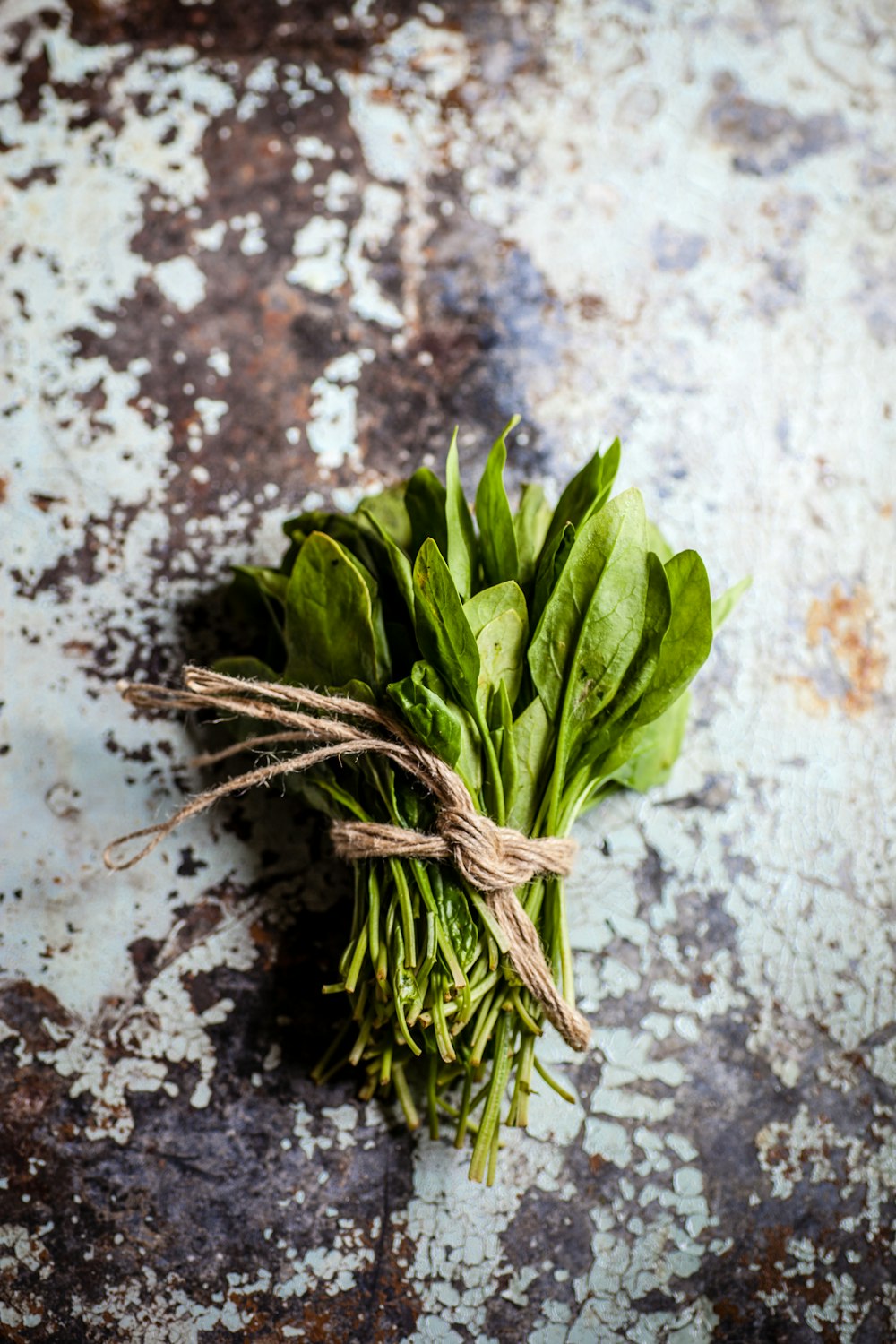 tied green leaves on gray and white surface