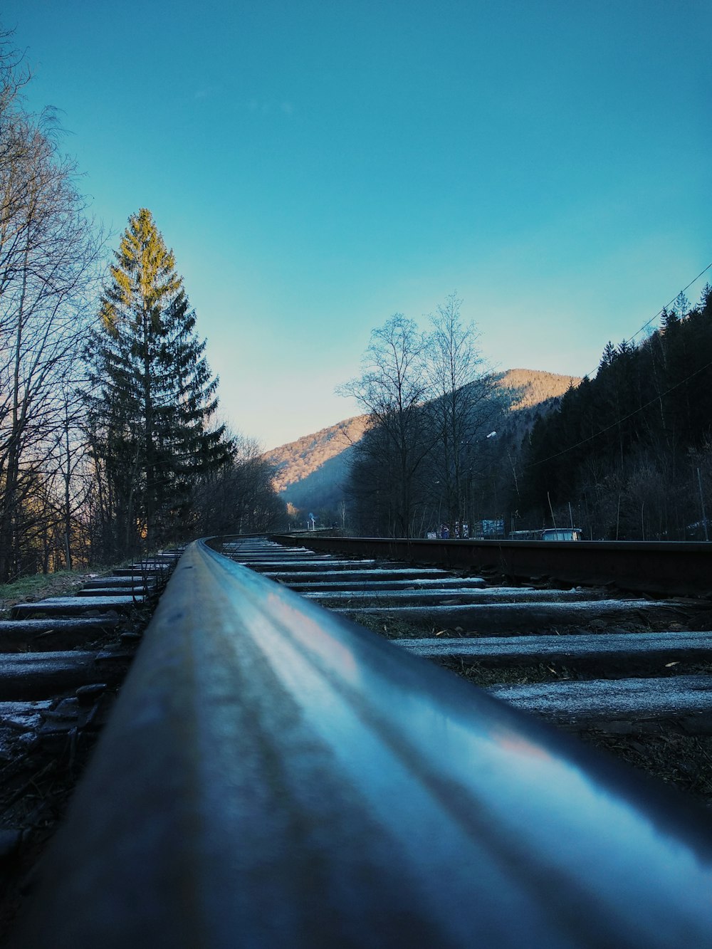 train tracks with trees and mountain in the background