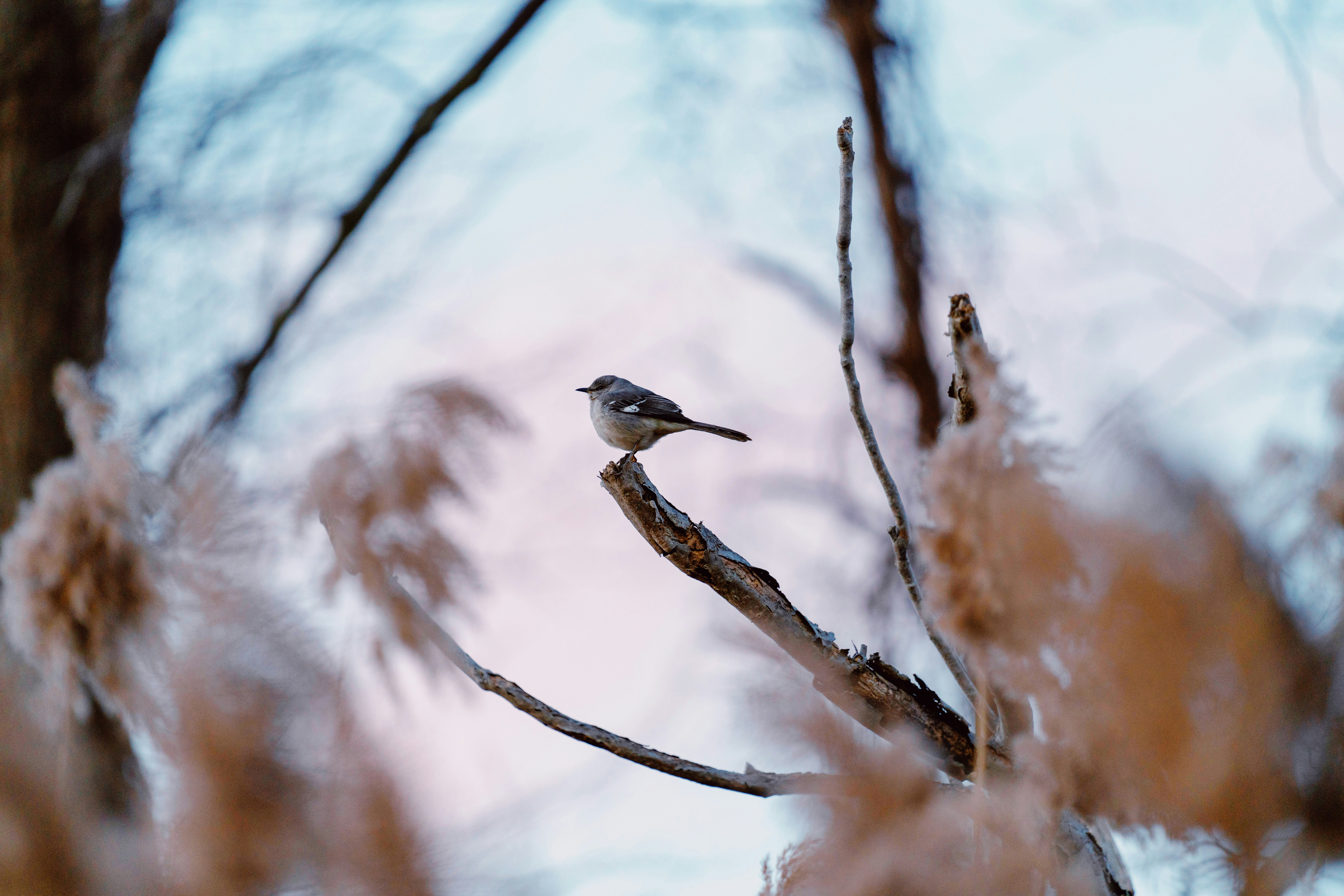 Photo by tylerdonaghy