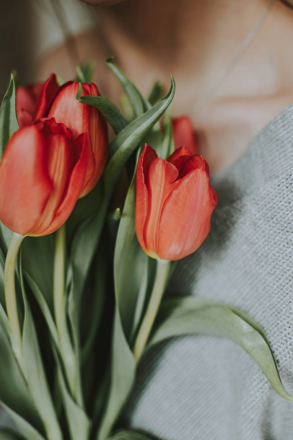 woman holding tulip flowers