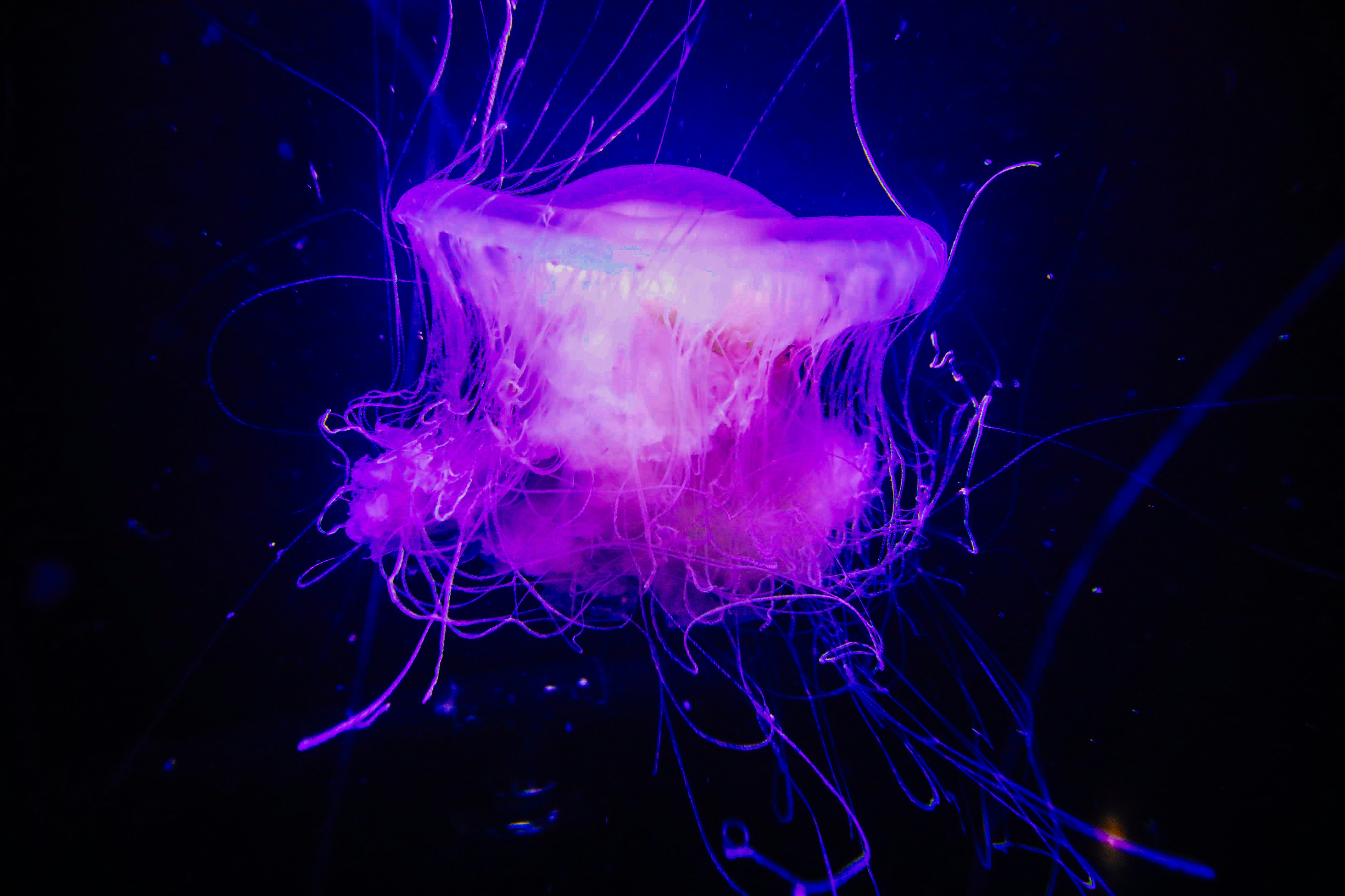 Photo by dylanmullins