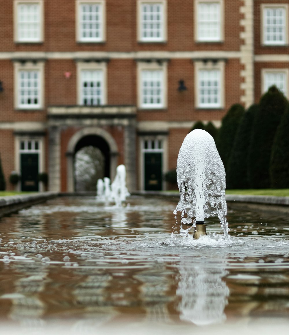 close-up photography of water fountain