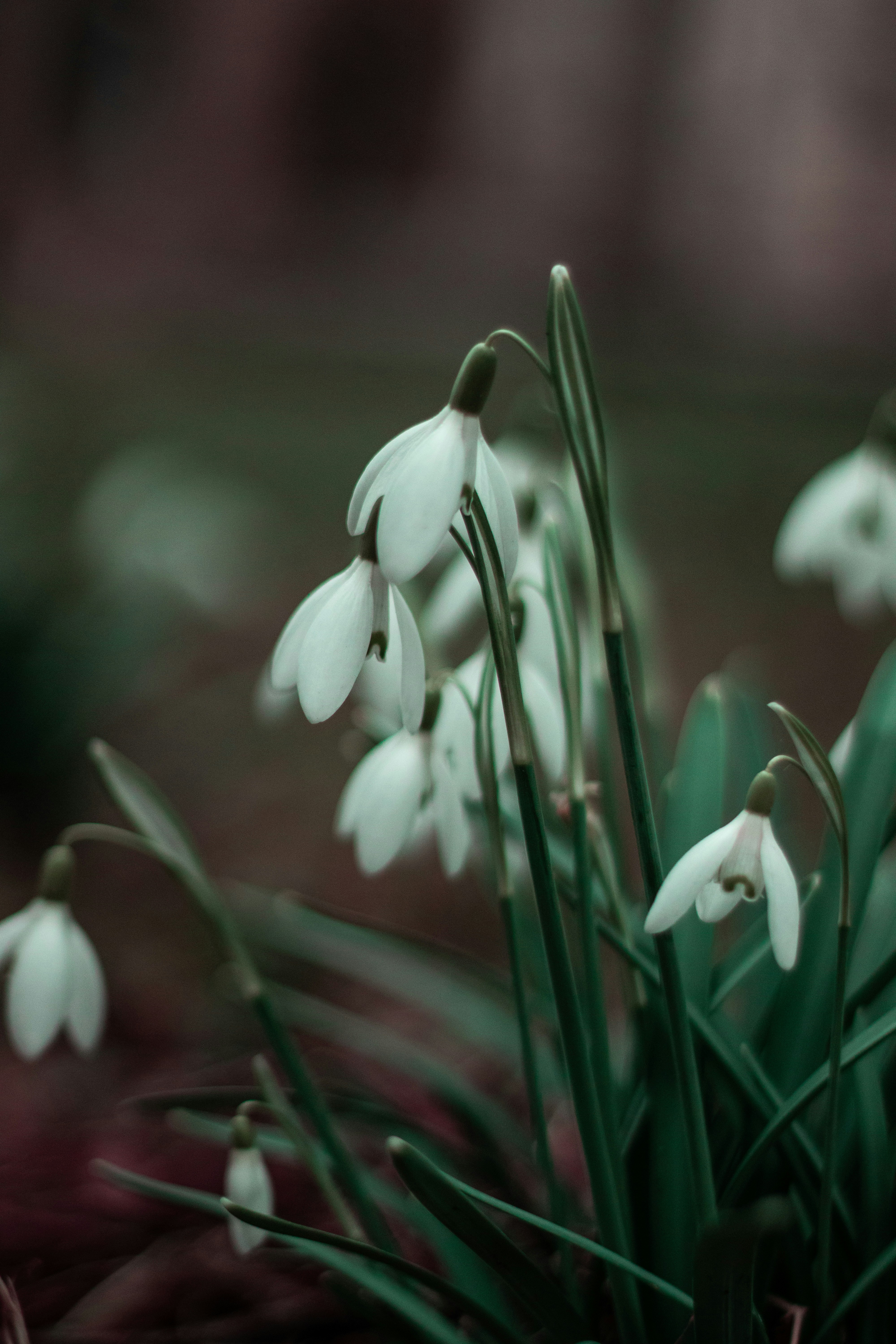 Photo by alken
