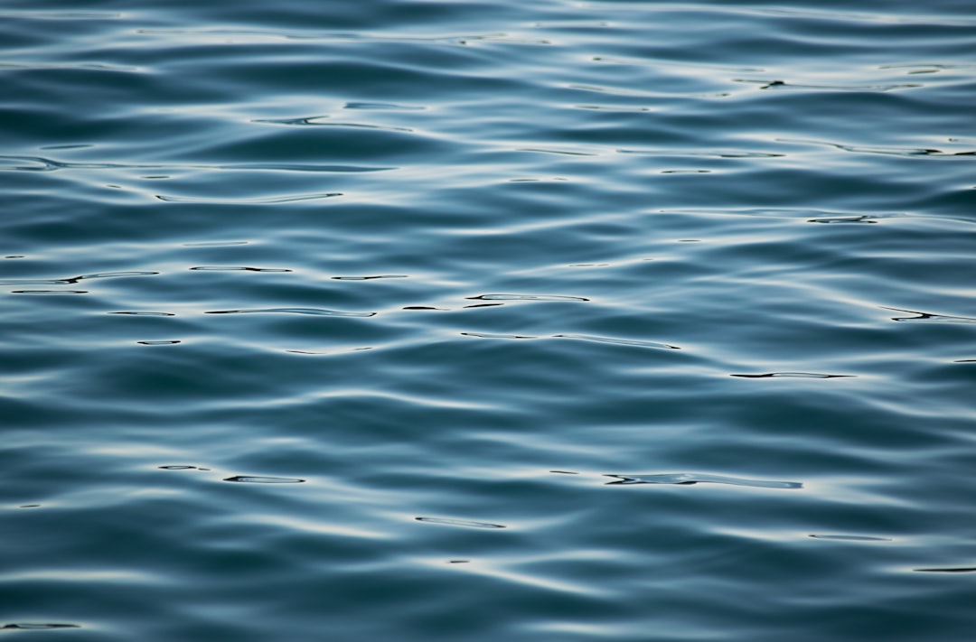 sea water during daytime