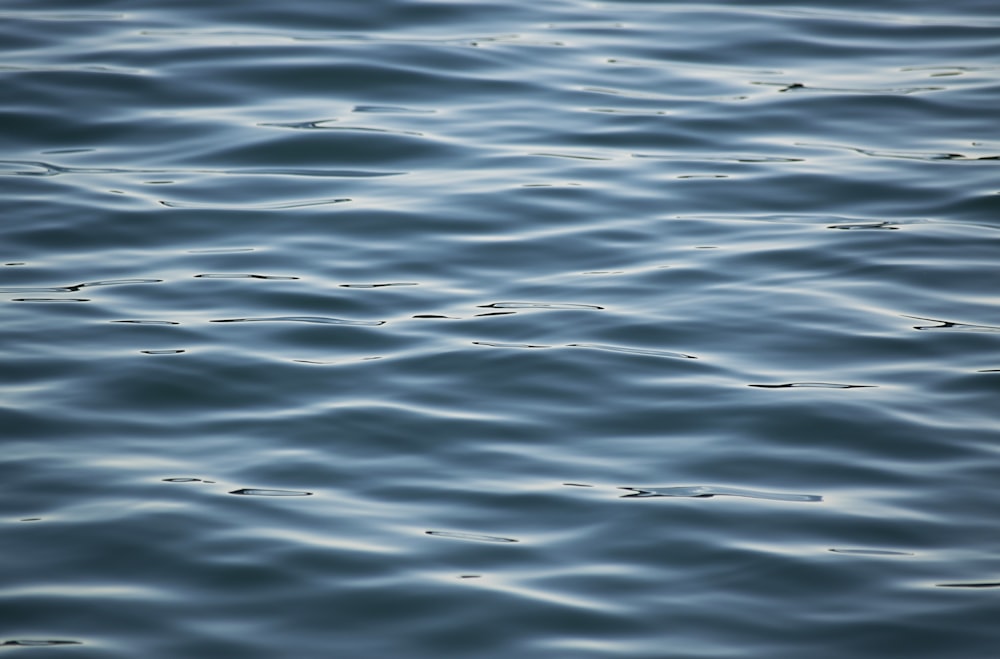 sea water during daytime