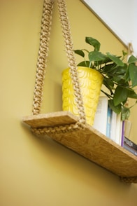 green-leafed plant in yellow pot on brown wooden wall shelf