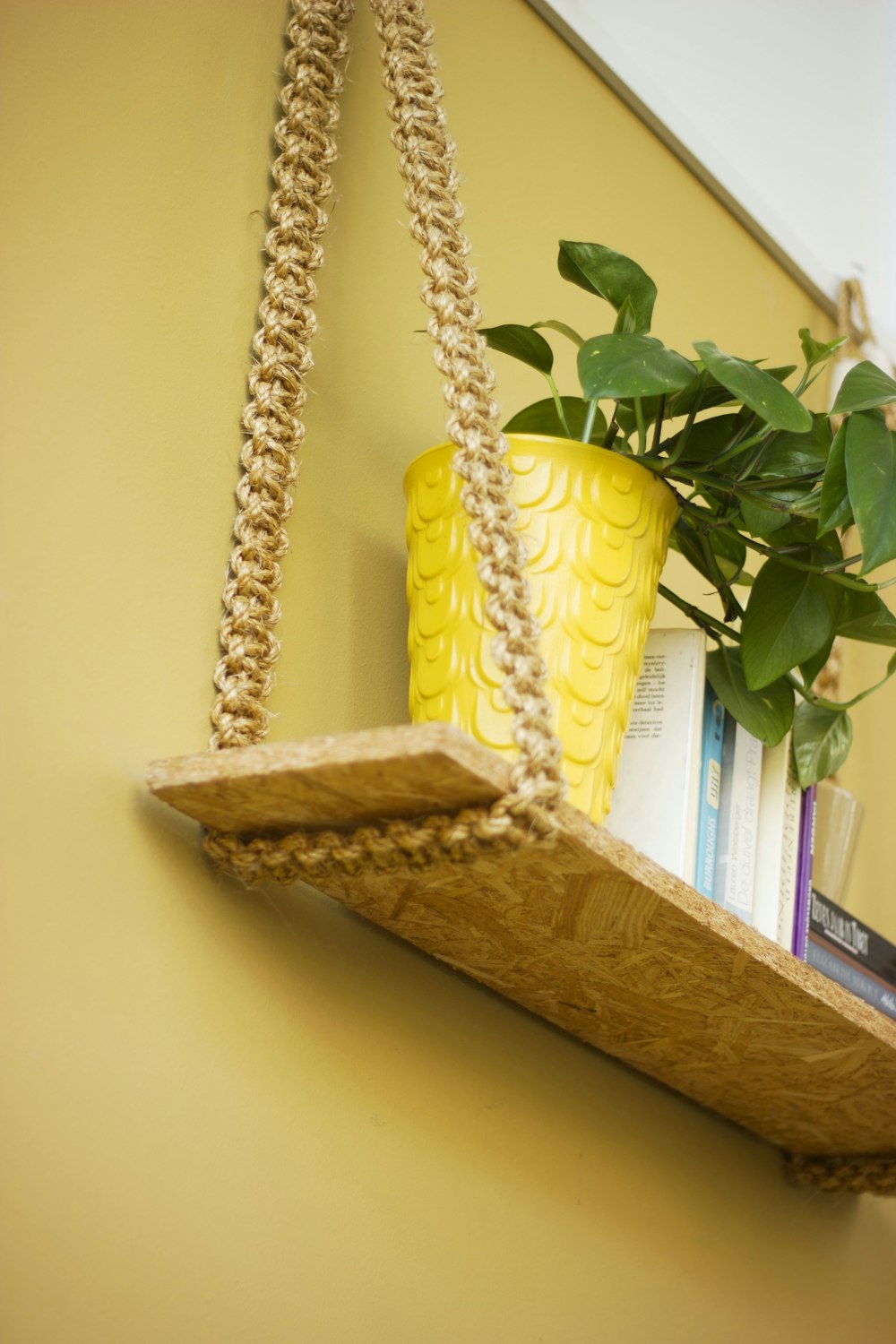 green-leafed plant in yellow pot on brown wooden wall shelf