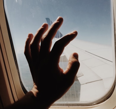 person holding glass of airline