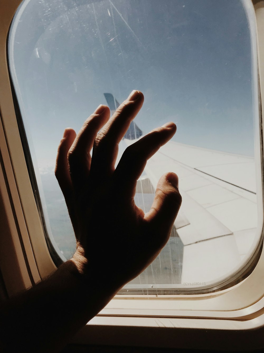 person holding glass of airline