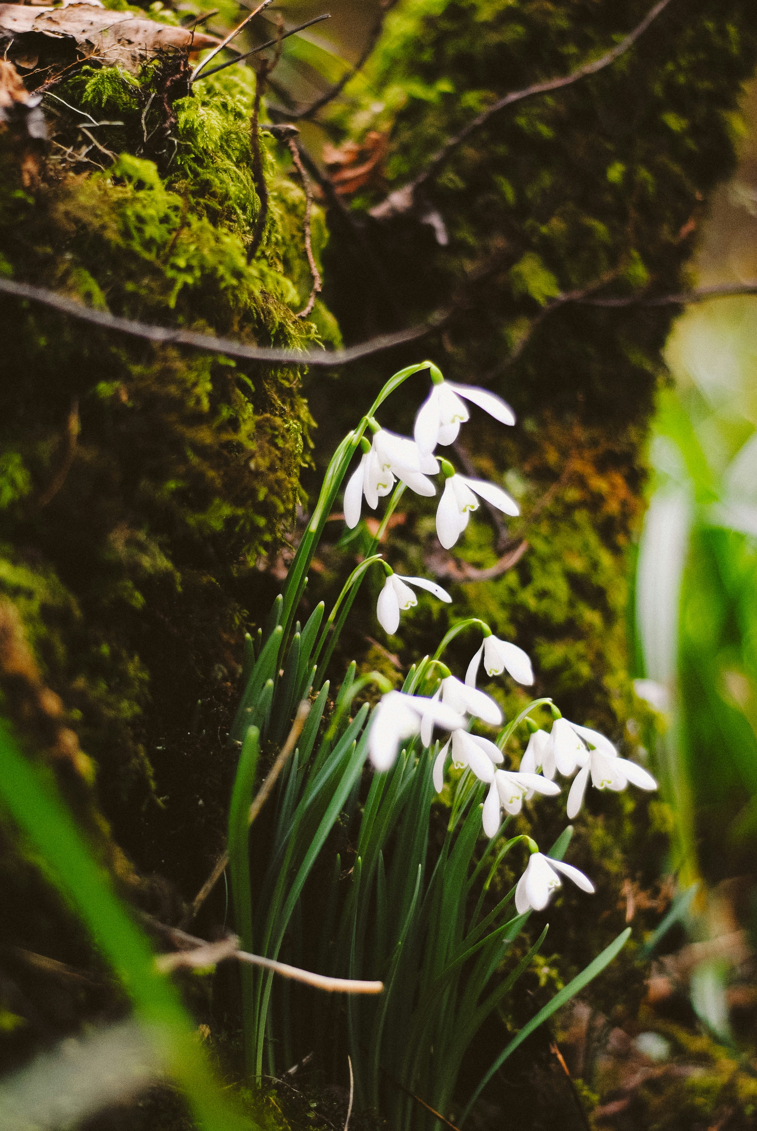 Photo by helloimnik