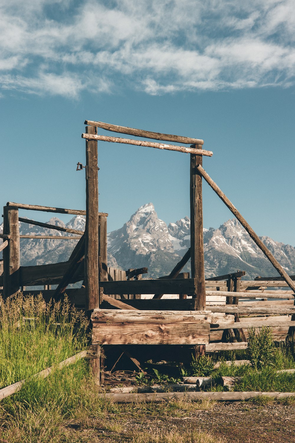 brown wooden bridge at daytime