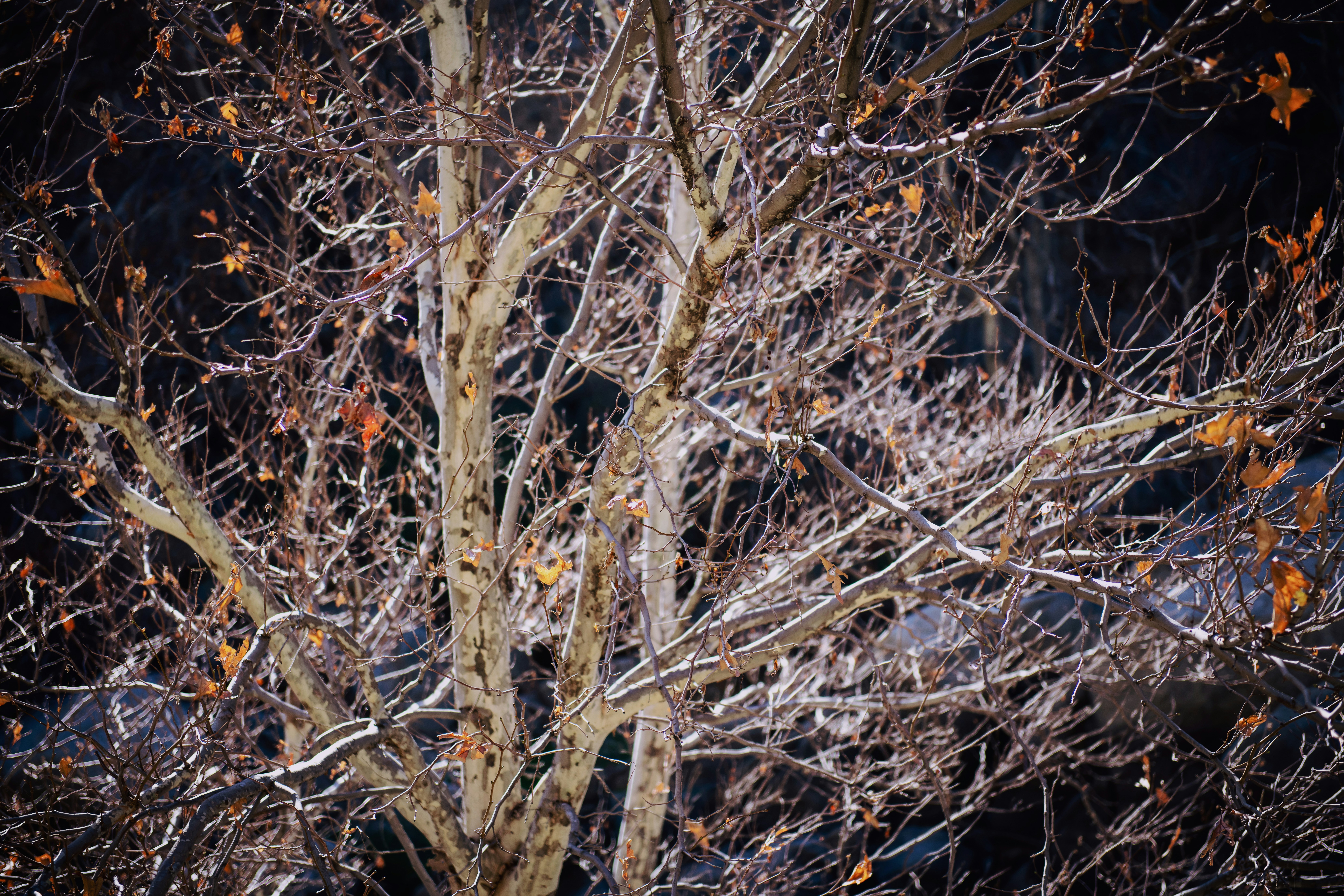 Photo by timmossholder