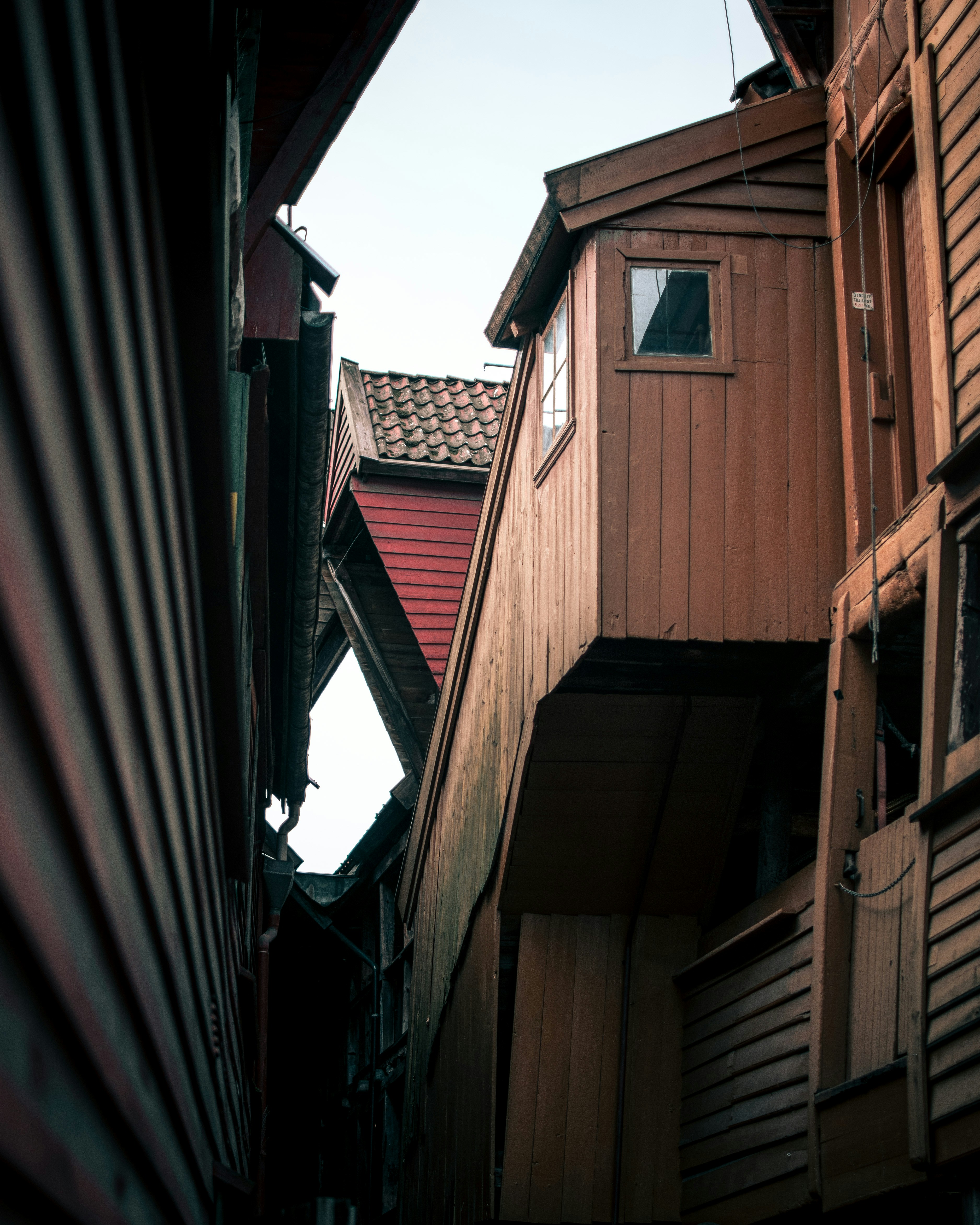 Photo by lachlangowen