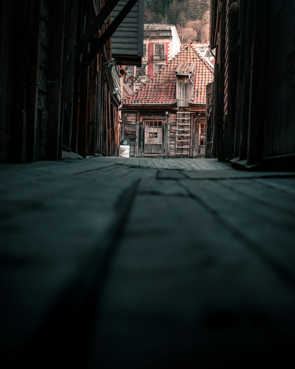 pathway between house during daytime