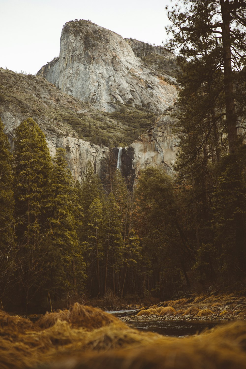 river between trees and near mountain