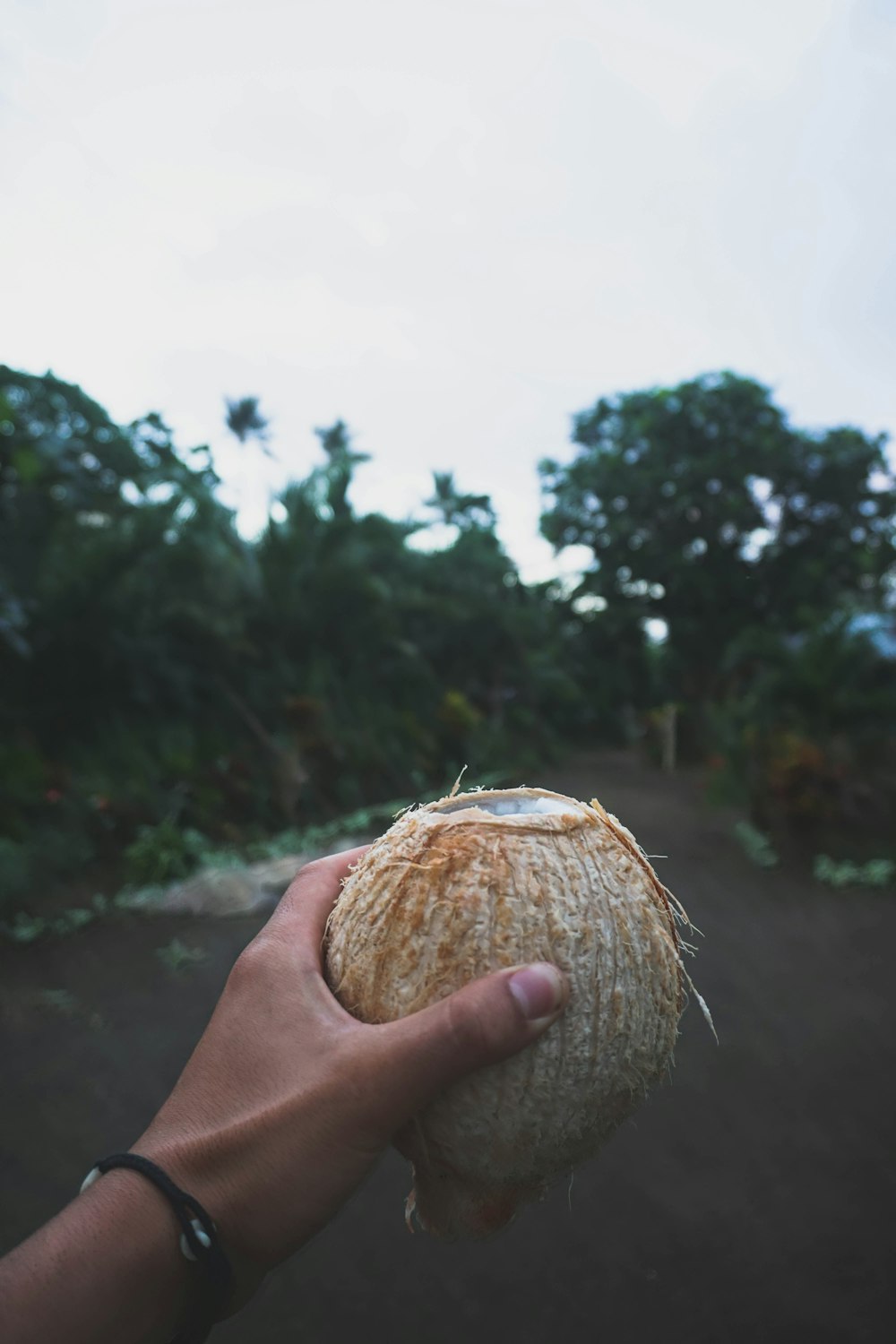 코코넛 껍질을 들고 있는 사람