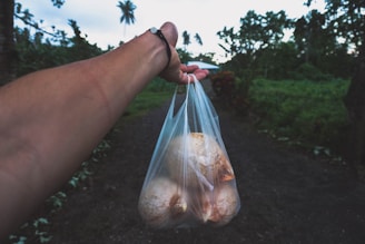 A cheerful delivery person handing over a basket of fresh bread rolls at a cozy campsite in Arnhem.