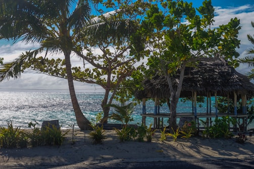 A cozy beach hut nestled among swaying palm trees with the turquoise sea in the background at sunset.