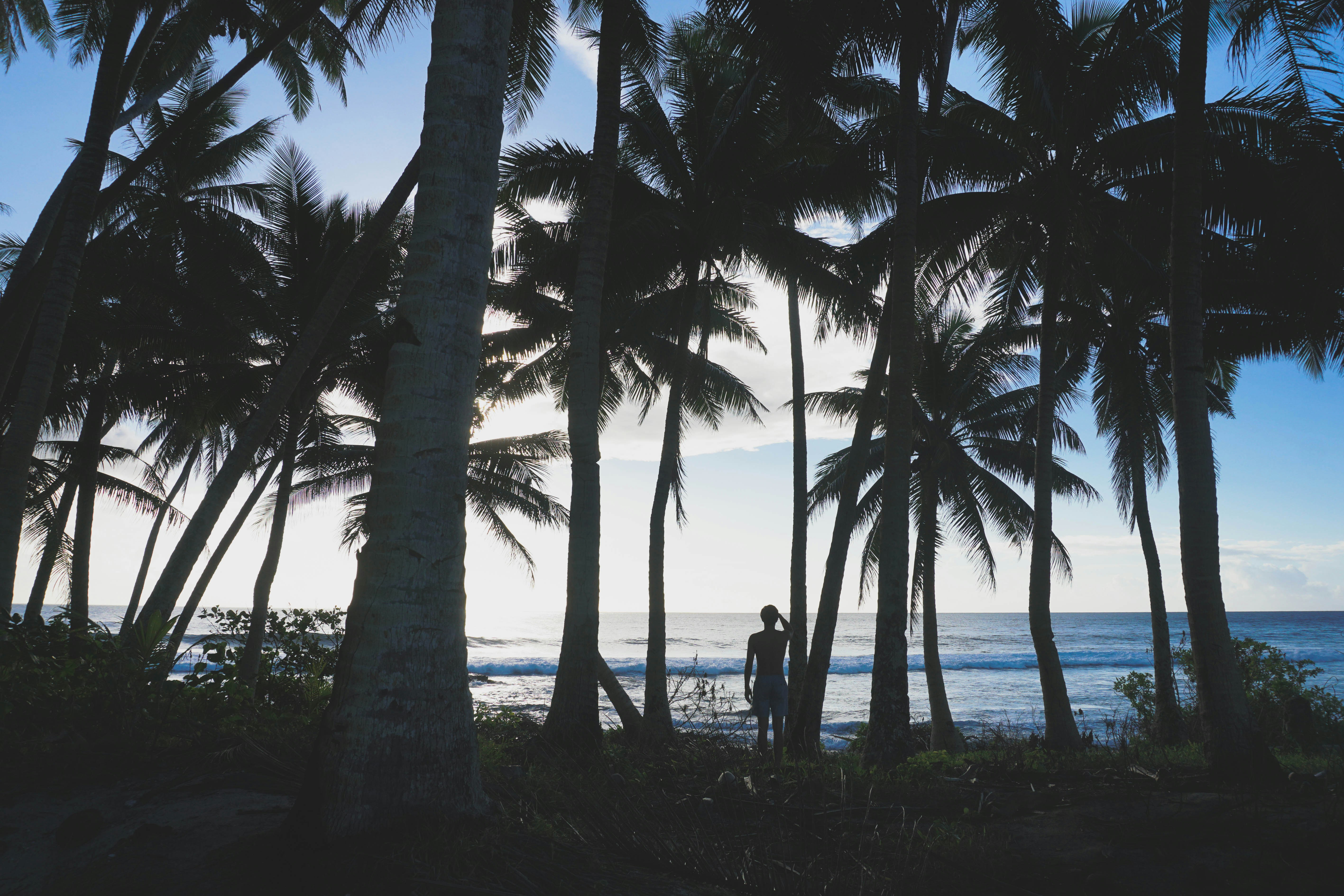 Photo by ethanelisara