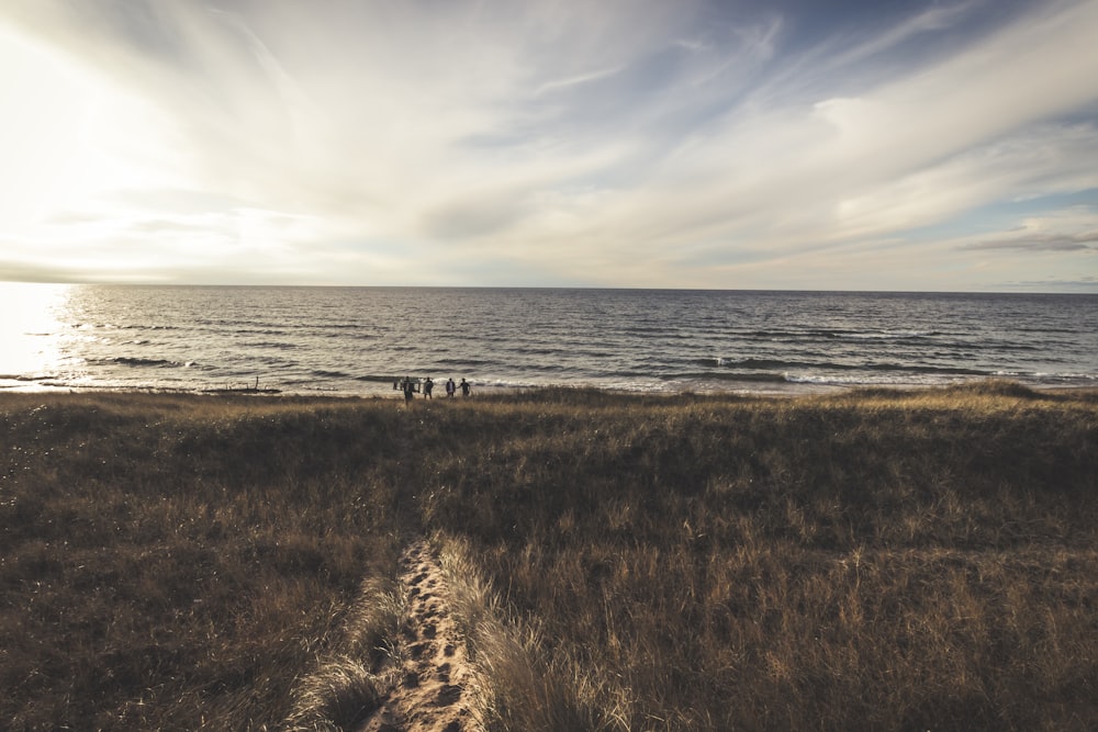 people by the beach under white clouds