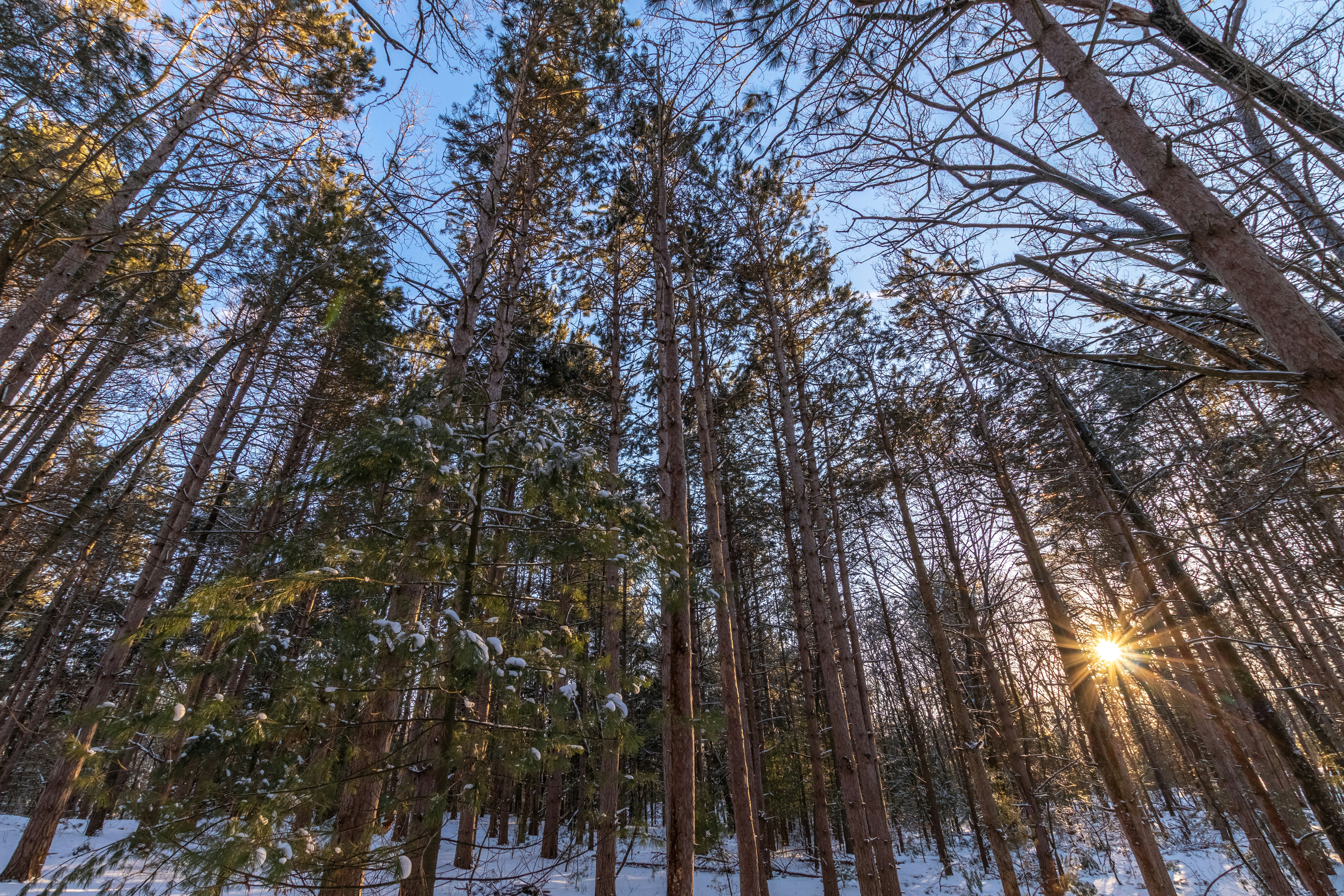 Photo by ryanraderphotography