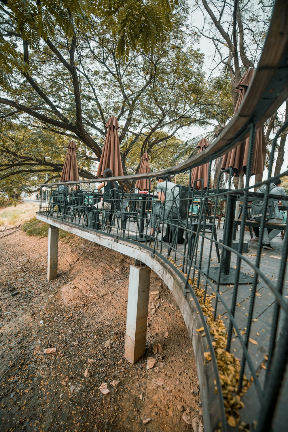 dock beside tree during daytime