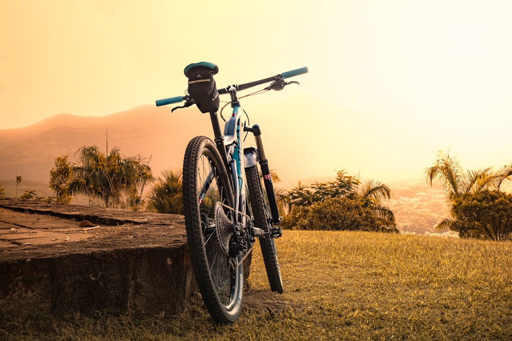 parked blue and black mountain bike near green plants during daytime