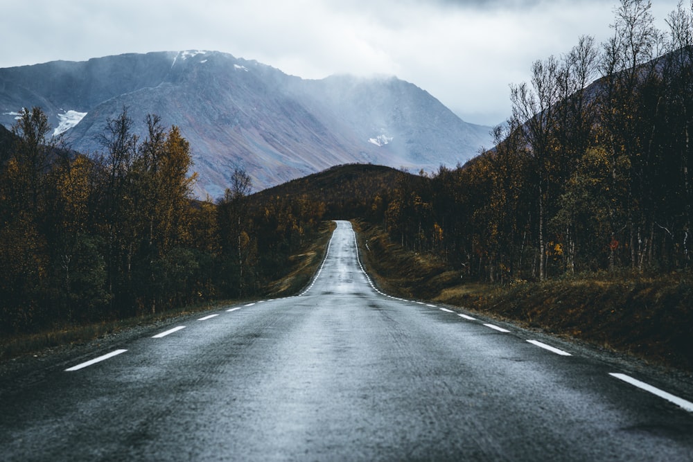 empty road during daytime