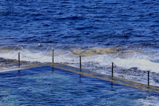 A clear blue ocean with gentle waves is visible alongside an ocean swimming pool. The pool is bordered by a fence with metal posts and chains, while waves break softly against the rocks adjoining the pool.