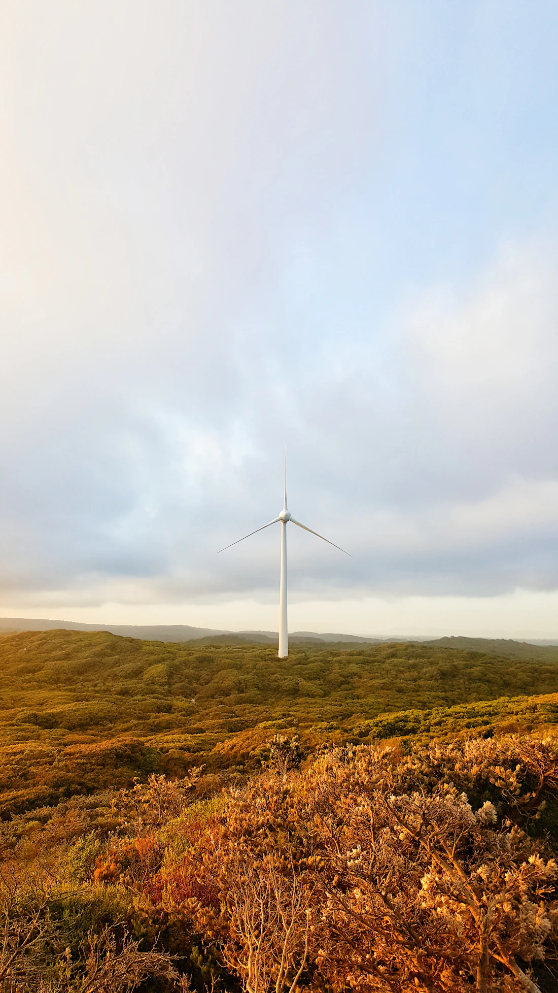 Clean energy and a greener industry