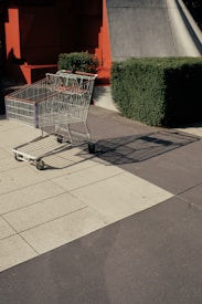 silver shopping card near green leaf plant