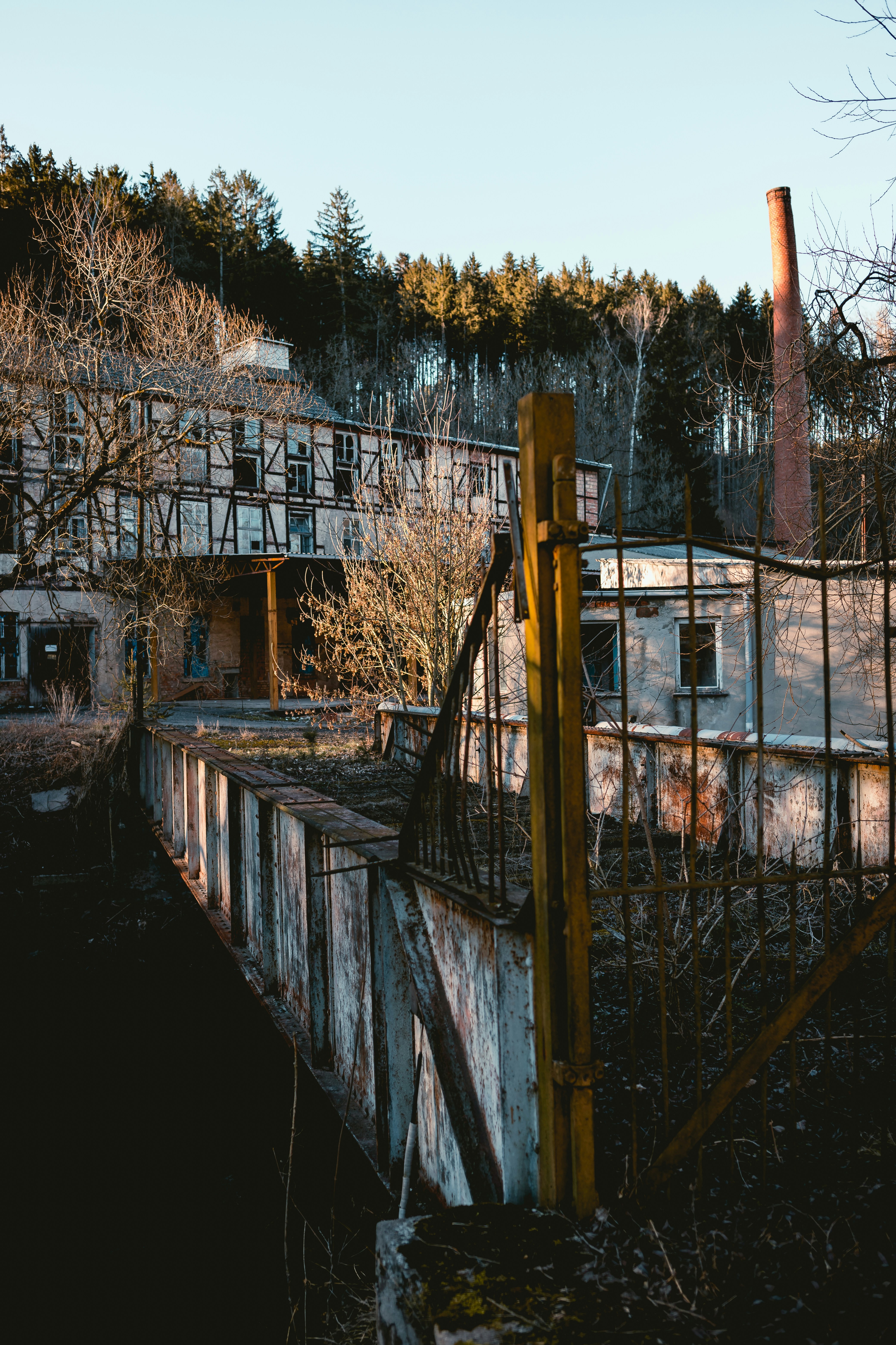 Photo by niklas_hamann
