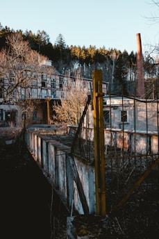 A misty abandoned factory building surrounded by overgrown vegetation in South Bohemia.