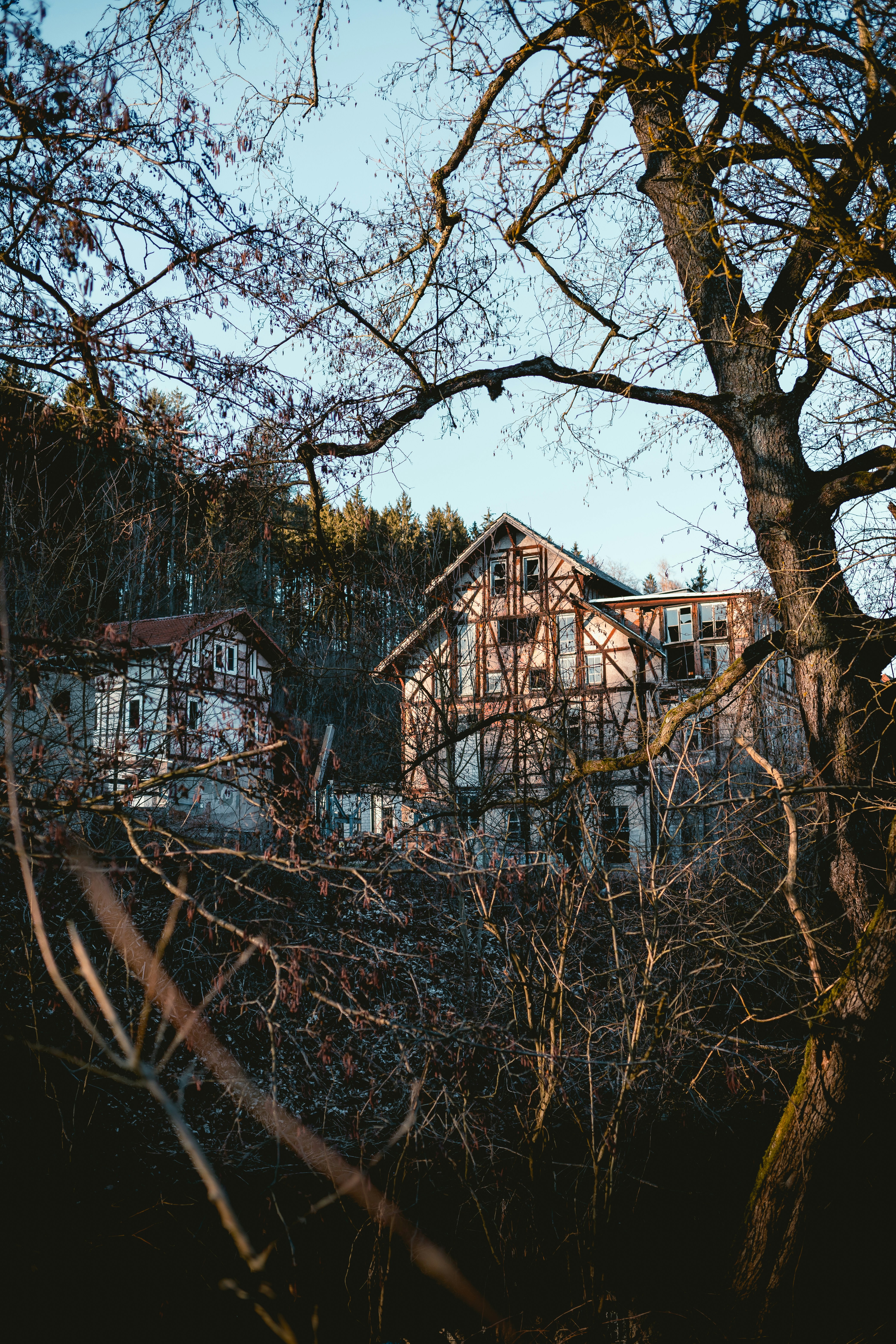 Photo by niklas_hamann