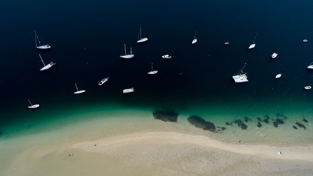 Barcos brancos no mar vendo a costa