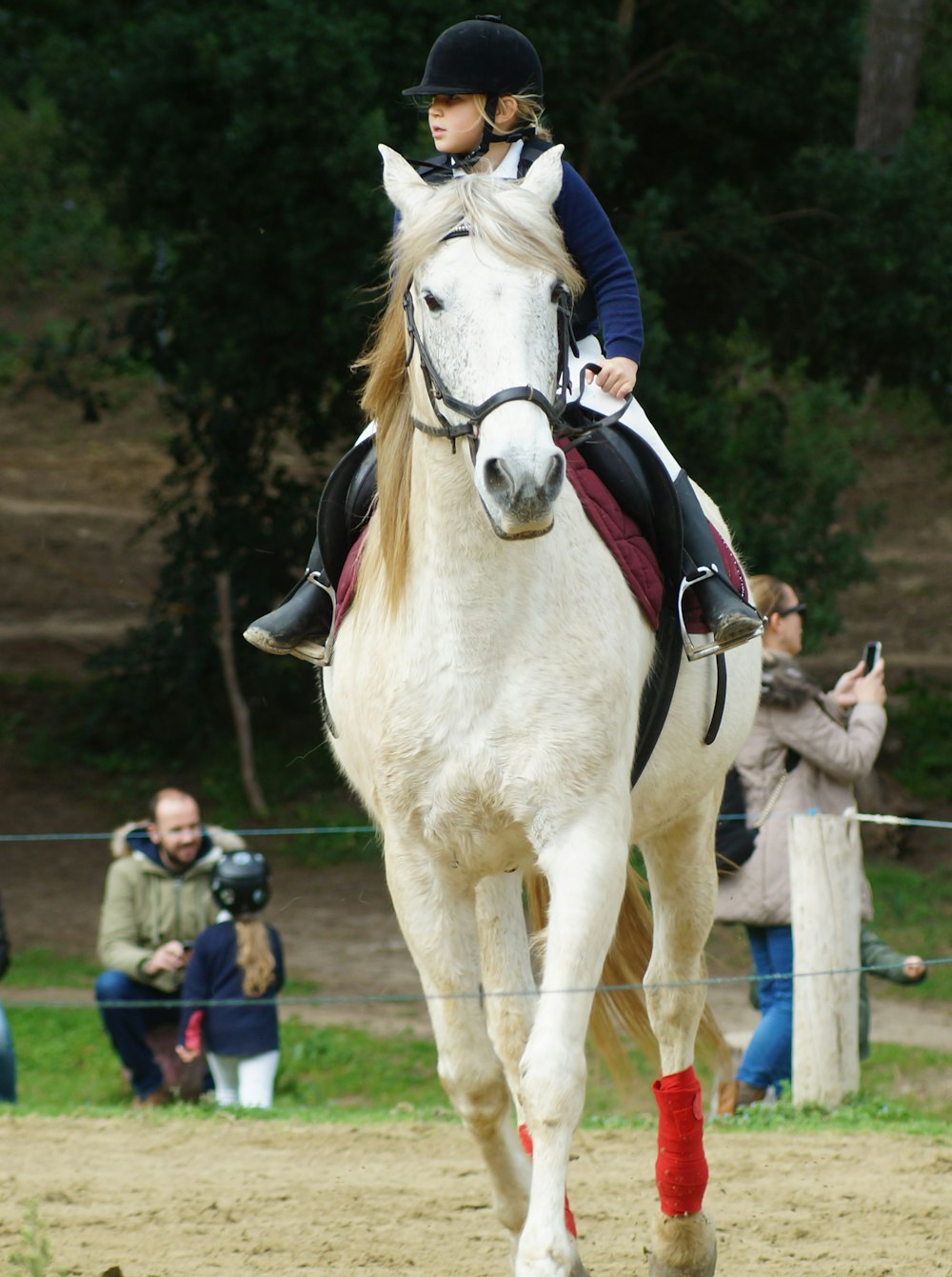 child riding white horse