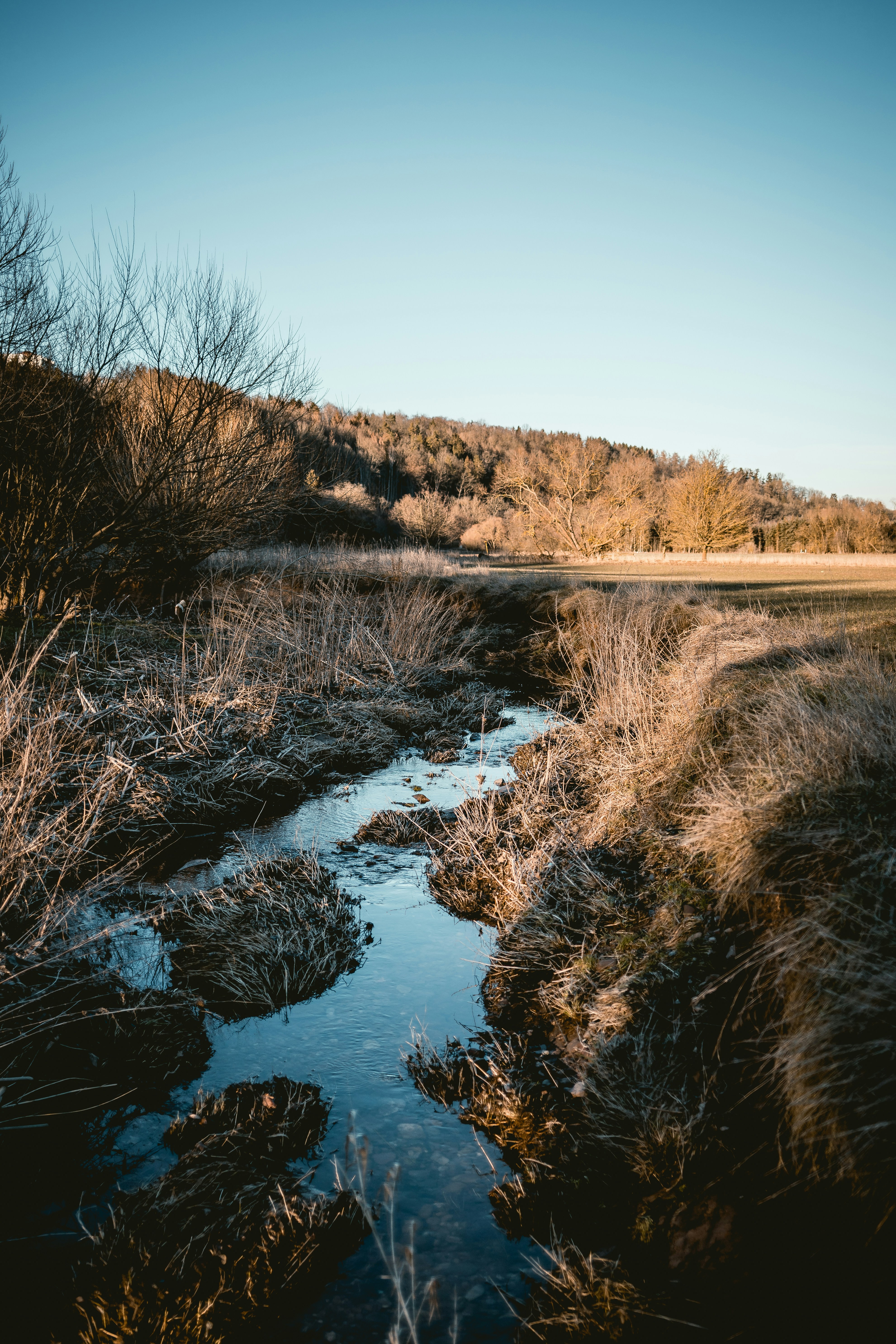 Photo by niklas_hamann