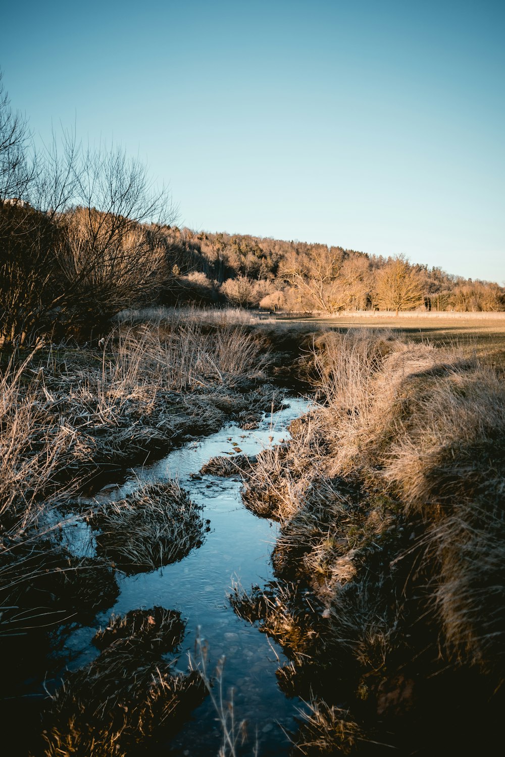 river between brown grass under blue sky