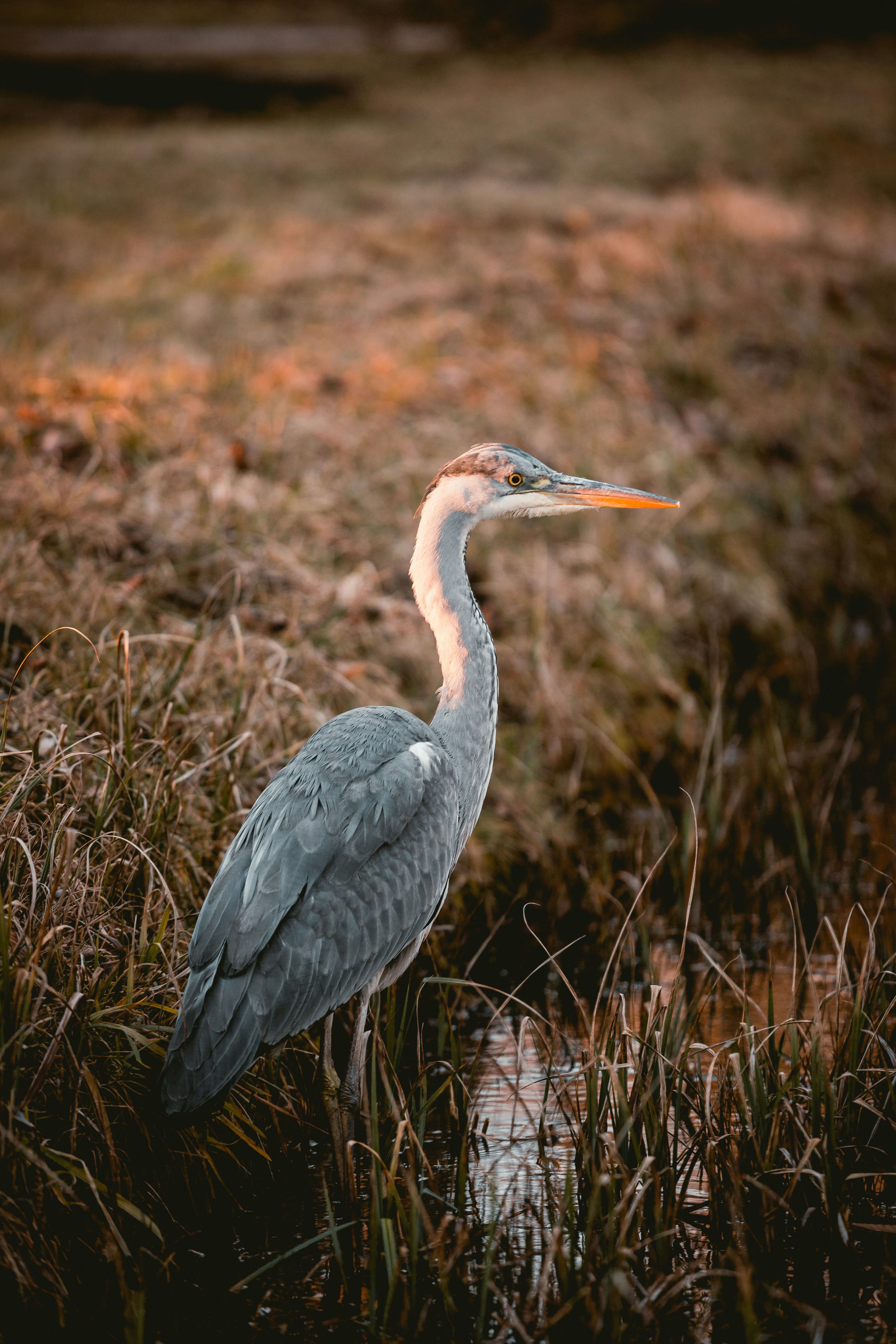 Photo by niklas_hamann