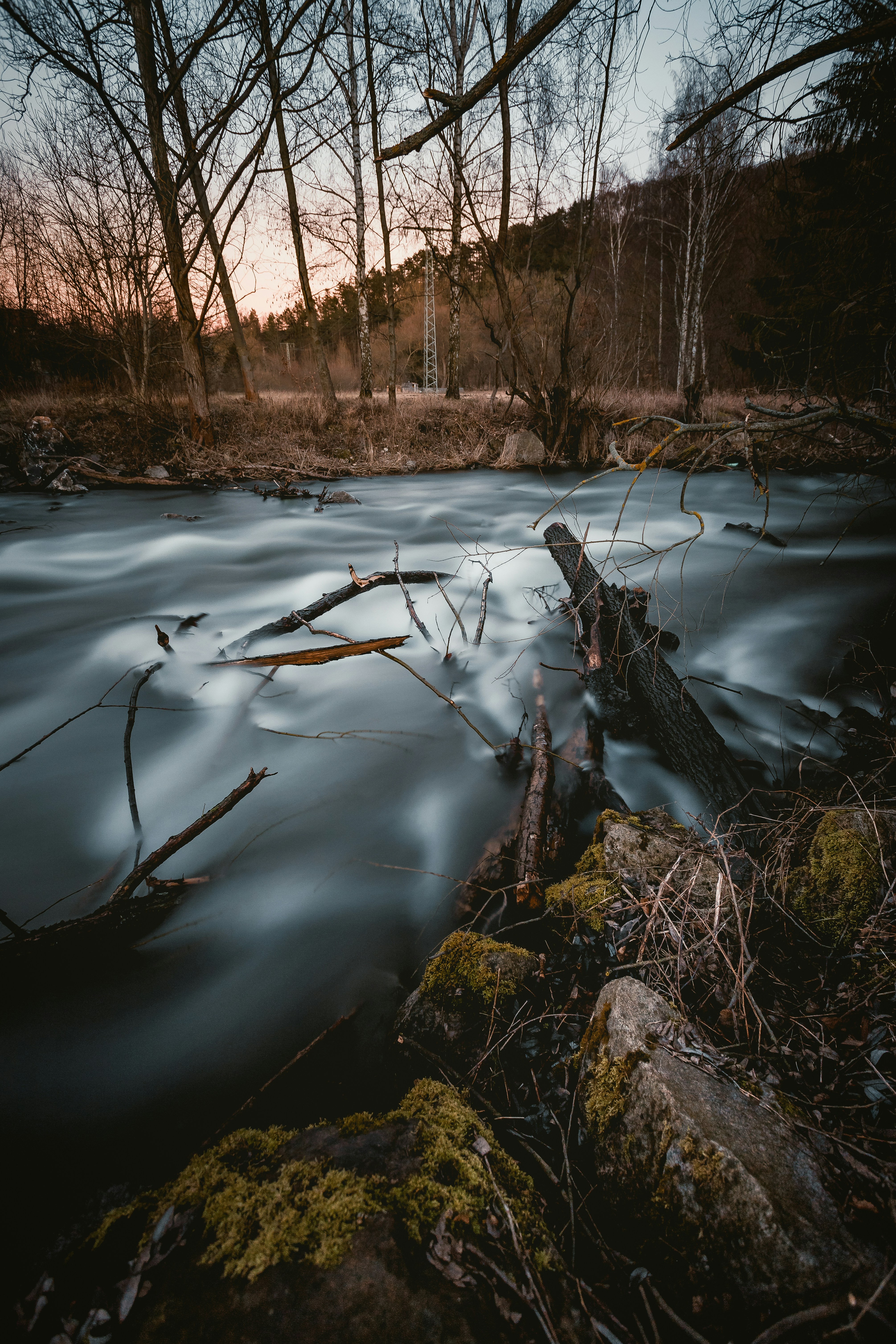 Photo by niklas_hamann