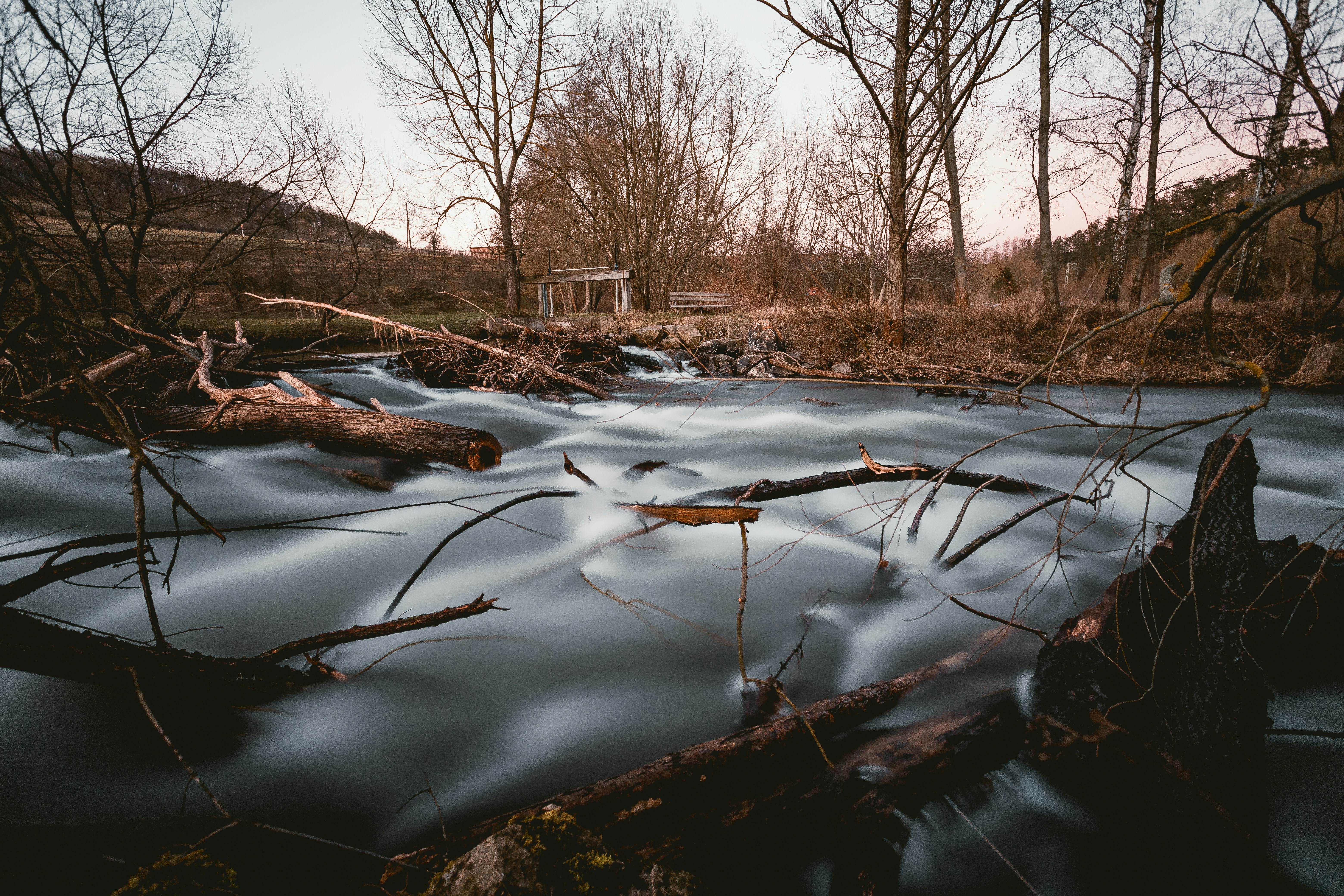 Photo by niklas_hamann