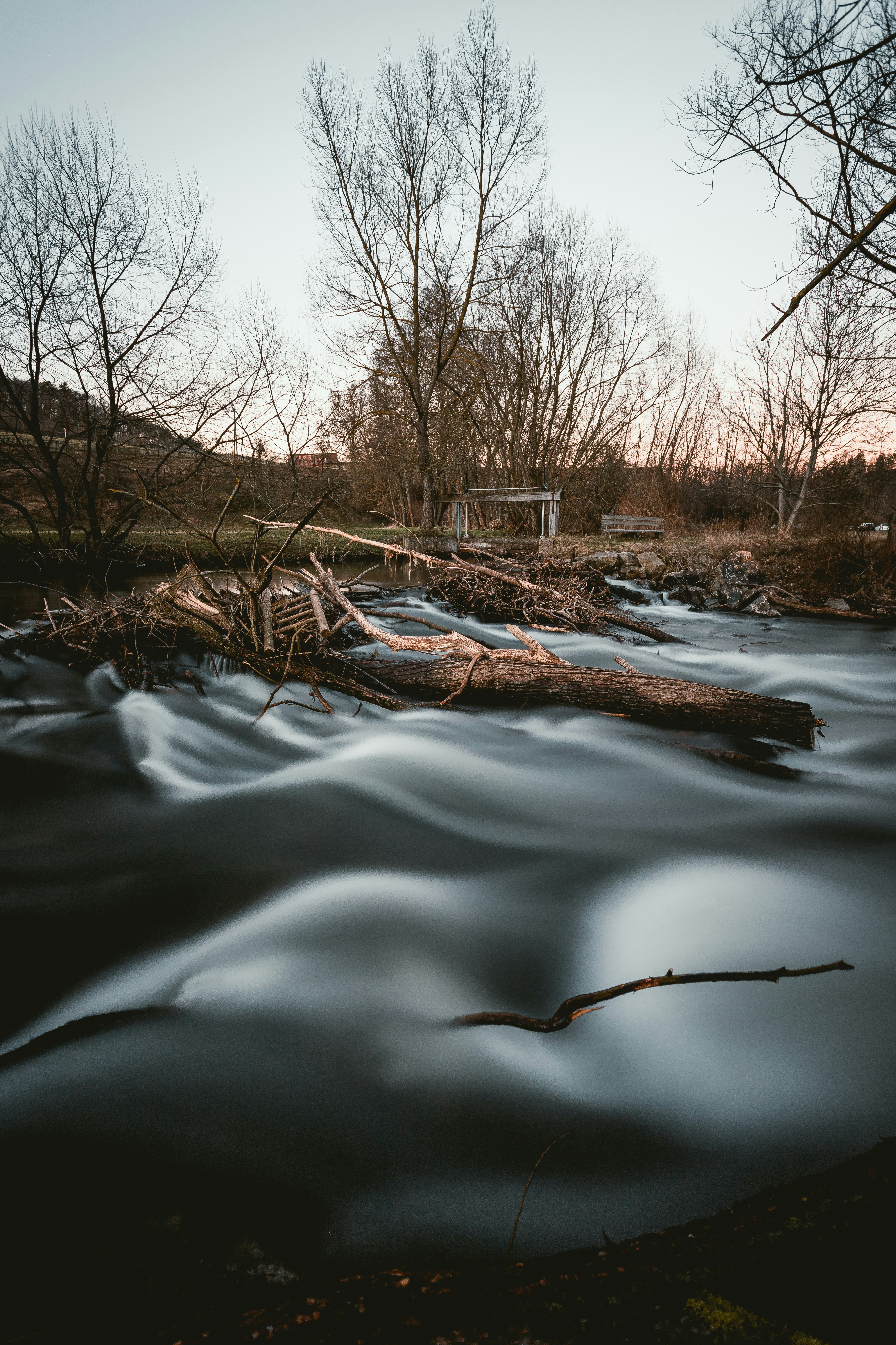 Photo by niklas_hamann