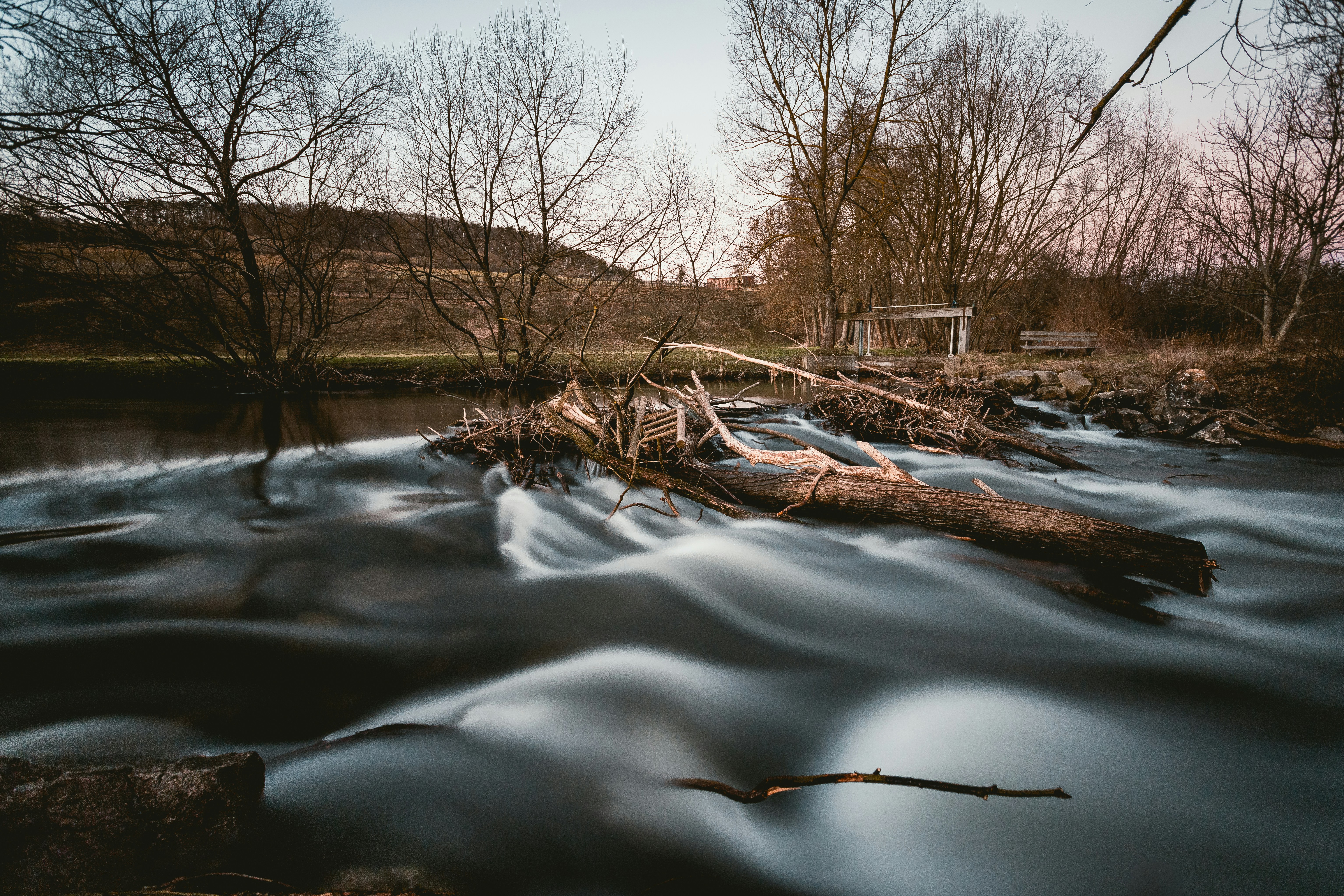 Photo by niklas_hamann