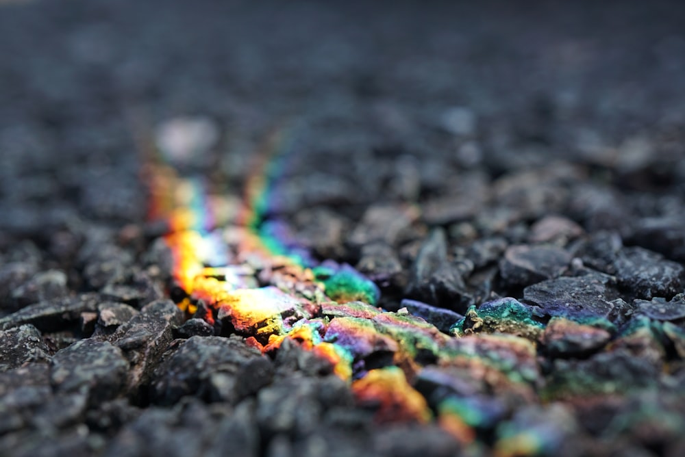 Un primo piano di un oggetto color arcobaleno sul terreno