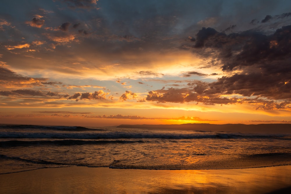 seashore during golden hour